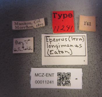 Media type: image;   Entomology 11241 Aspect: labels